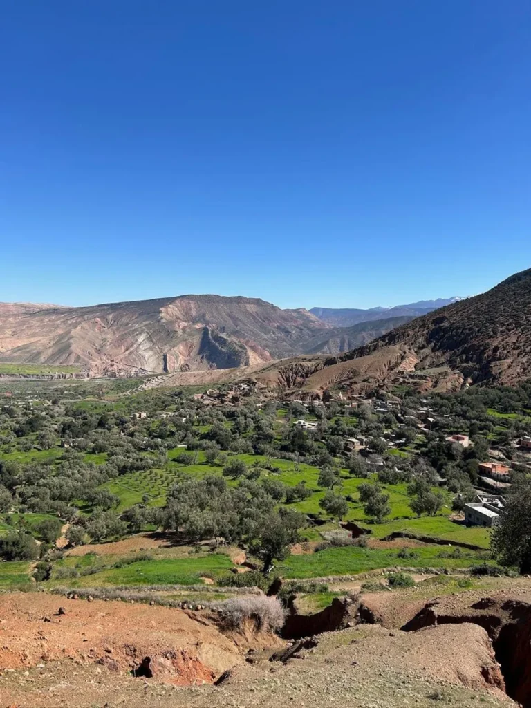Green terraced fields in a High Atlas valley below bare red hills