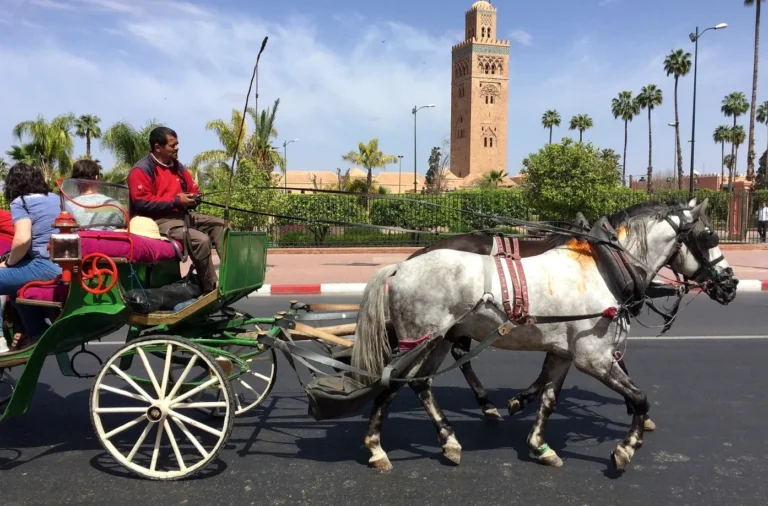 Horse-drawn caleche with passengers passing the Koutoubia minaret in Marrakech