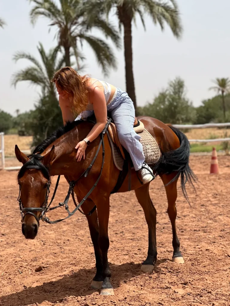 Rider on a brown horse in a sandy paddock among palm trees