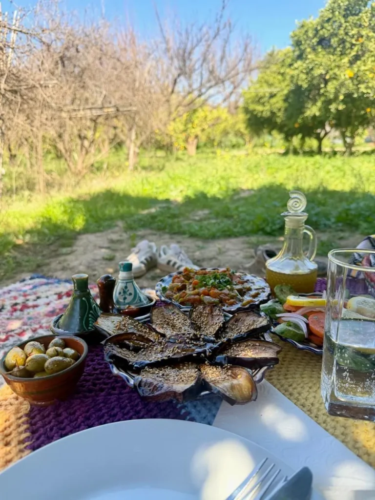 Moroccan salads and olive oil laid out for lunch in an orchard